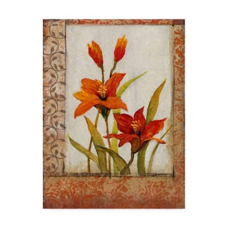 Tim Otoole 'Tulip Inset I' Canvas Art,35x47
